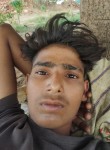 Suraj Parihar, 20 лет, Gwalior