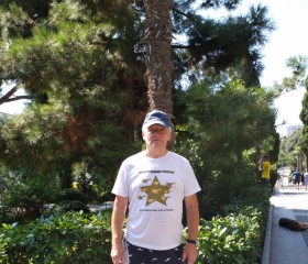Sergey, 71, Zvenigorod