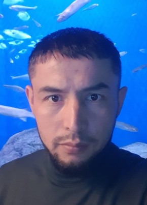 Игир, 33, Россия, Владивосток
