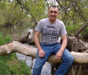 Анатолий, 43 года, Луганськ