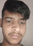 Gatuav, 23 года, Delhi