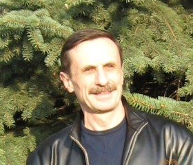 Олег, 71 год, Нижний Новгород