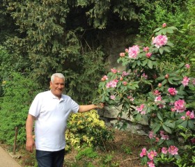 Kalabaz, 64 года, Guelma