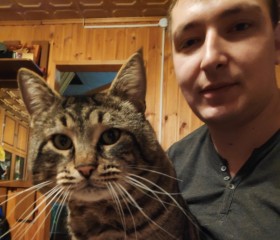 Александр, 37 лет, Колюбакино