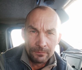 Дамир Садыков, 47 лет, Давлеканово
