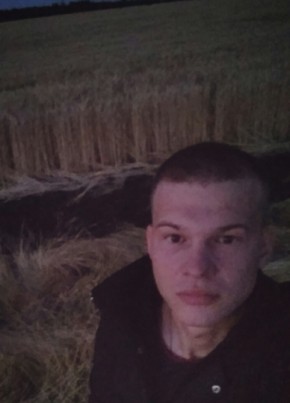Александер, 31, Україна, Апостолове