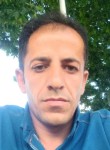 Mehsur, 30 лет, Erciş