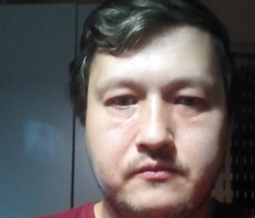 Михаил, 37 лет, Торжок