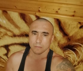 Radomir, 38, Chelyabinsk