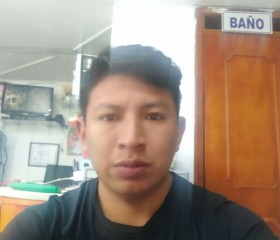 luis, 29 лет, Maracaibo