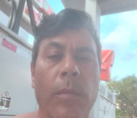 Jose, 51 год, Pitanga