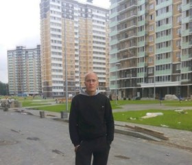 Владимир, 35 лет, Новоаннинский