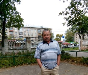 Геннадий, 67 лет, Нижний Новгород