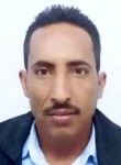 محمد, 25 лет, صنعاء