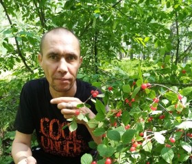Evgeniy, 45, Chelyabinsk