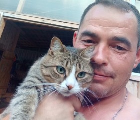 Жека, 41 год, Оршанка