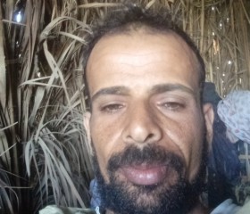 احمد المسعودي, 40, Ismailia