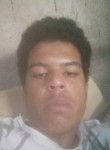 Guilherme Almeid, 19 лет, Região de Campinas (São Paulo)