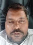 Dinesh Kumar, 37 лет, Lucknow