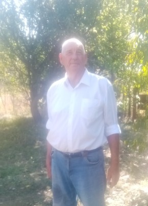 Виталий, 59, Україна, Кременчук