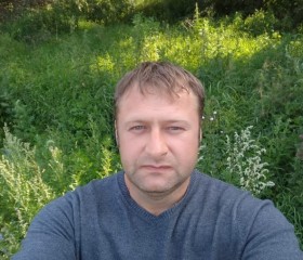 Андрей, 44 года, Светлогорск