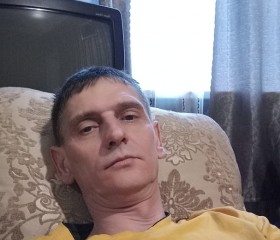 Александр, 46 лет, Комаричи