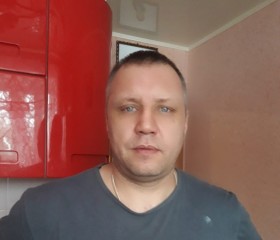 Анатолий, 46 лет, Тула