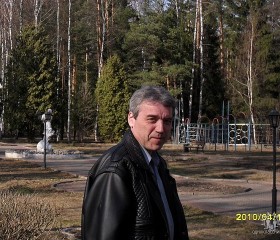 Игорь Владимир, 63 года, Лосино-Петровский