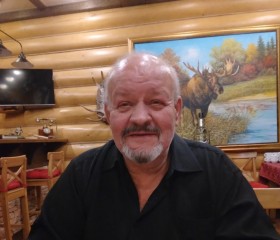 Иван Бабеев, 67 лет, Сертолово