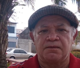Coelha da Silva, 69 лет, Colinas