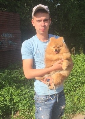 Иван, 28, Россия, Сергиев Посад