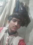 Suliman, 19 лет, پشاور