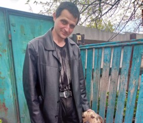 Сергей, 36 лет, Краснодон