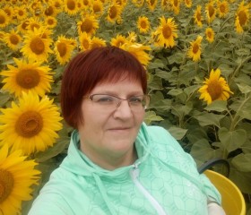 Оксана, 42 года, Казань