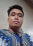 Michael Palawan, 28 лет, Maramag