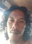Jay, 34 года, Kualatungkal