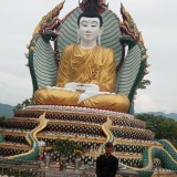 c9841245ea85d323