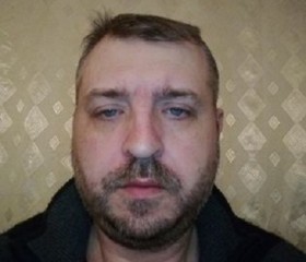 Евгений Попов, 43 года, Альметьевск