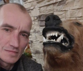 Евгений Вахитов, 44 года, Хабаровск