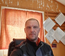 Сергей, 43 года, Лесозаводск