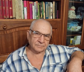александр ефимов, 74 года, Саратов