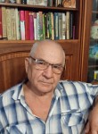 александр ефимов, 73 года, Саратов