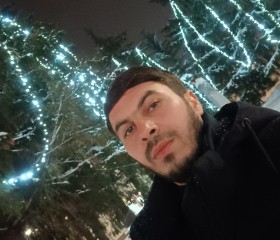 Raxil Ismailov, 33 года, Тверь