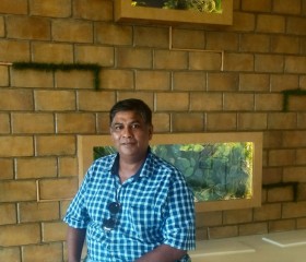 Michael, 55 лет, Mangalore