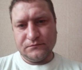 Михаил, 35 лет, Тула
