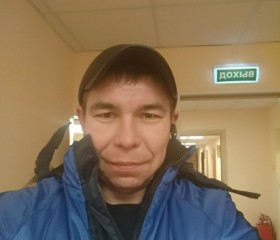 Евгений Ткаченко, 45 лет, Талнах