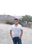 Yusif, 22 года, Biləcəri