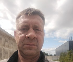 Mikhail, 46, Saint Petersburg