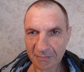 Дмитрий, 48 лет, Омутинское
