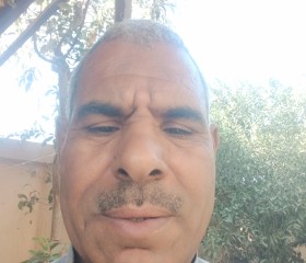 محمود, 55, Cairo